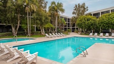Outdoor pool ringed by palms and lounge chairs